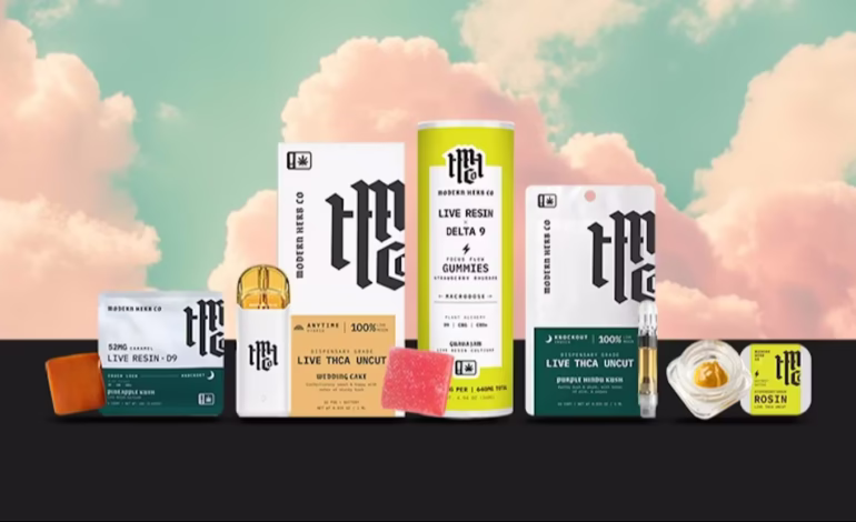 Dispensary-Grade Hemp Products You Can Buy Online Right Now